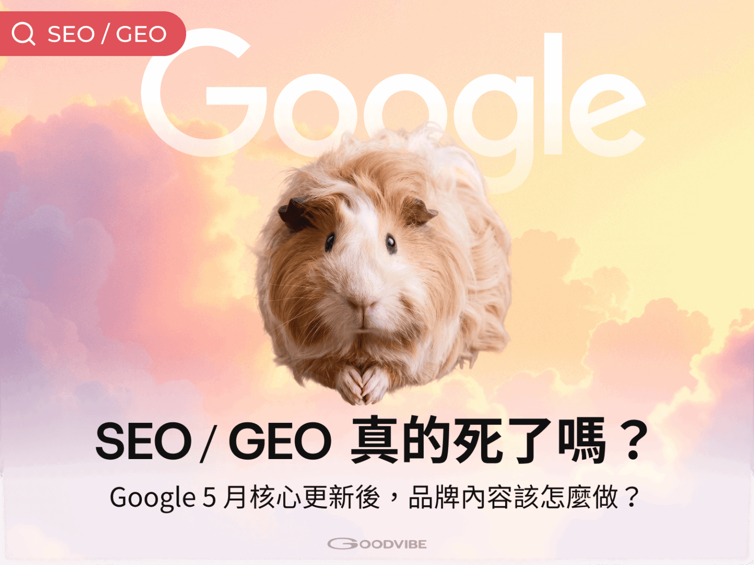 Google 2026 5月核心更新 & 品牌因應策略整理文章封面圖