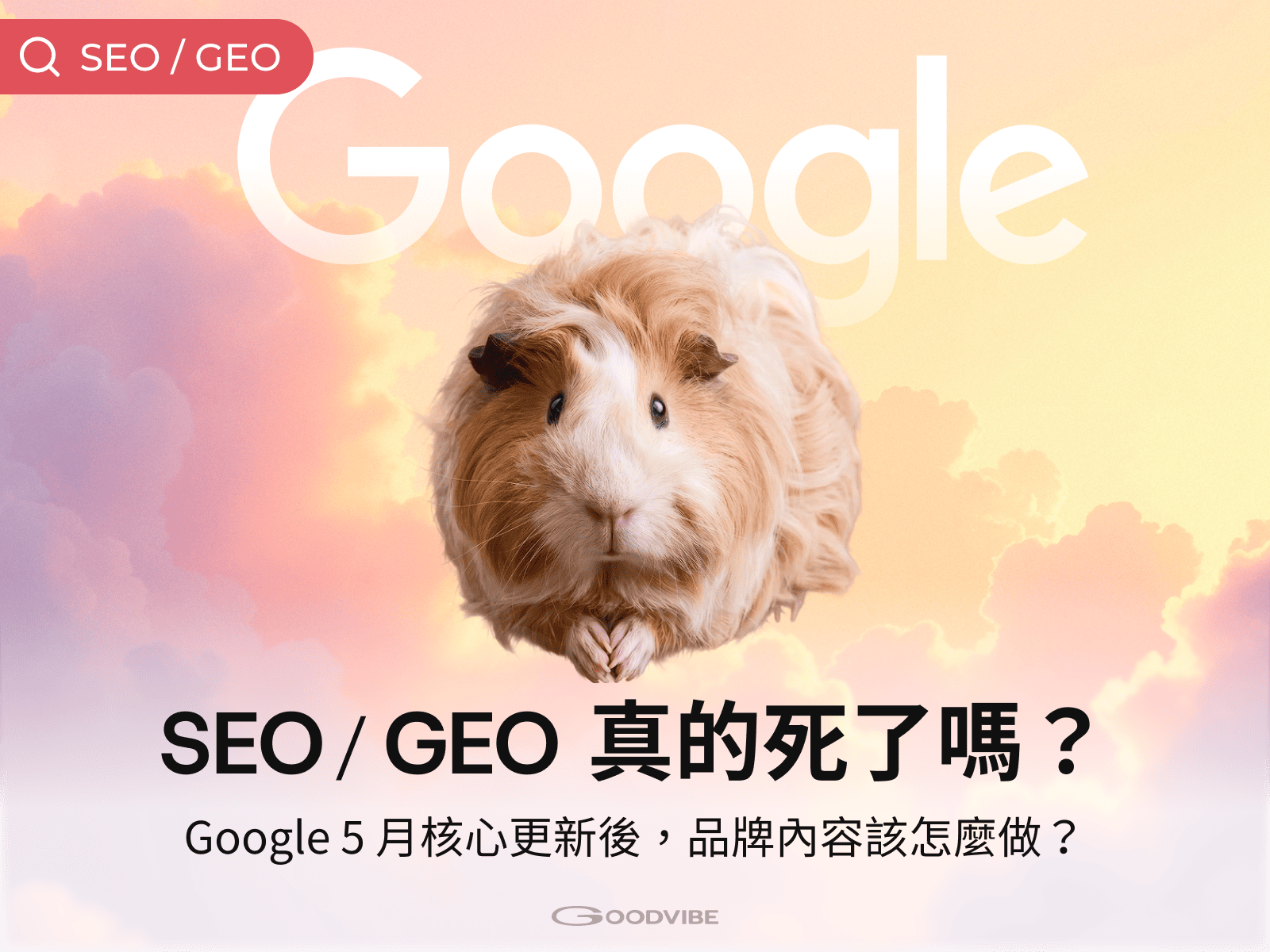 Google 2026 5月核心更新 & 品牌因應策略整理文章封面圖