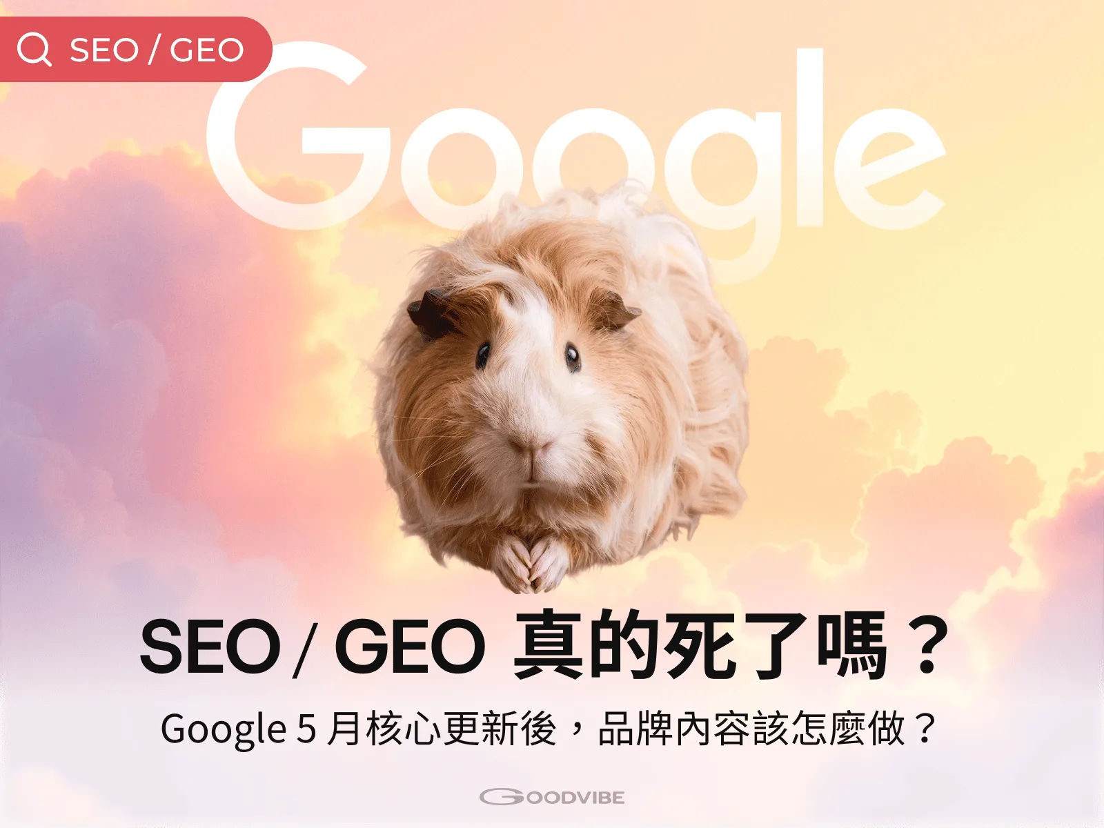 Google 2026 5月核心更新 & 品牌因應策略整理文章封面圖